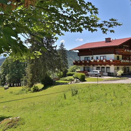 Pension Sonnwendhof ラムサウ・アム・ダッハシュタイン エクステリア 写真