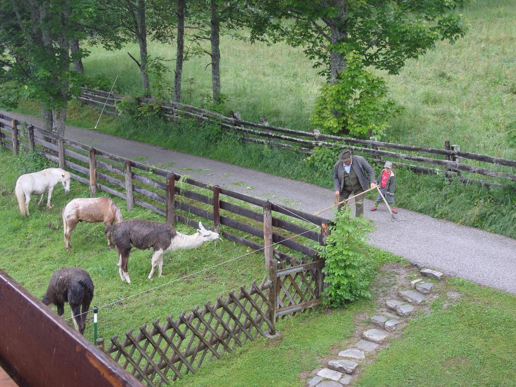 Pension Sonnwendhof ラムサウ・アム・ダッハシュタイン エクステリア 写真